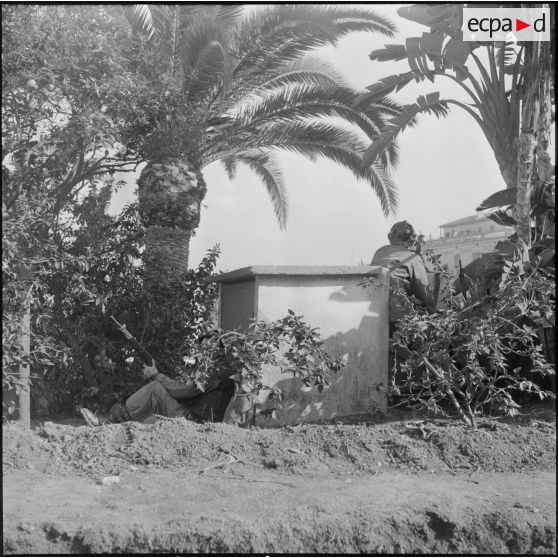 Alger. Quadrillage contre la manifestation de l'Organisation armée secrète (OAS). Des soldats à leur poste de tir, cachés dans un jardin.