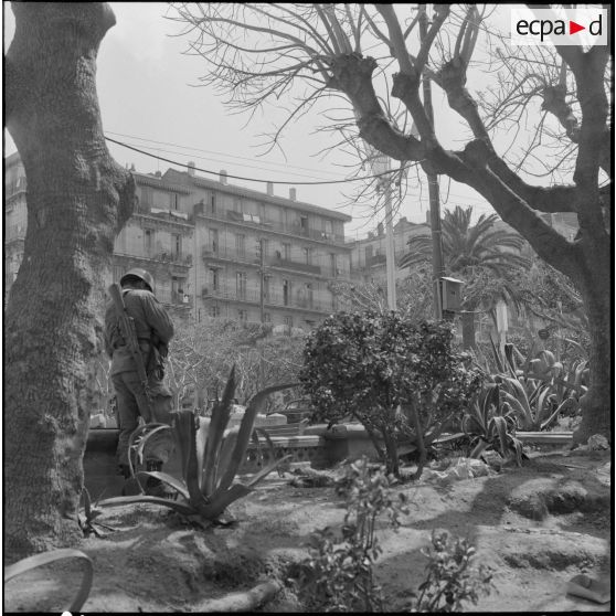 Alger. Journée de deuil du 27 mars 1962. Un soldat à son poste dans un jardin.