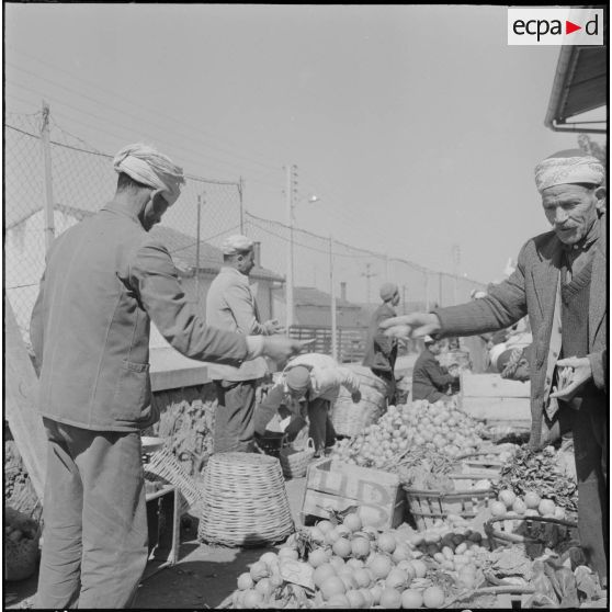 Fondouk. Marché. Marchands de fruits et légumes.