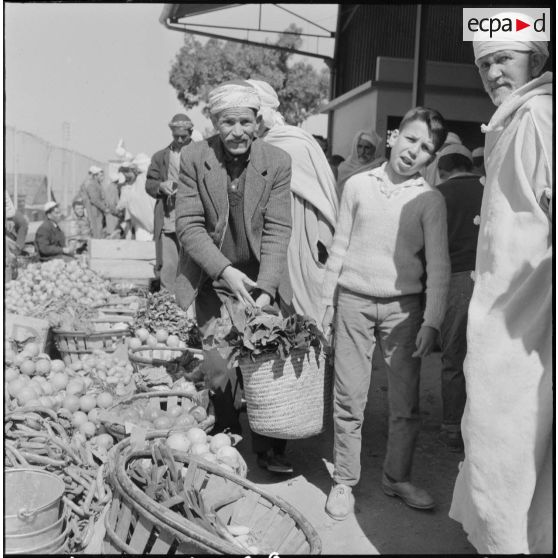 Fondouk. Marché. Des hommes et un enfant sur le stand d'un marchand de fruits et légumes.