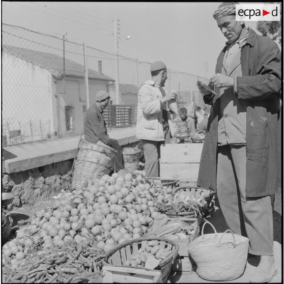 Fondouk. Marché. Marchand de fruits et légumes.