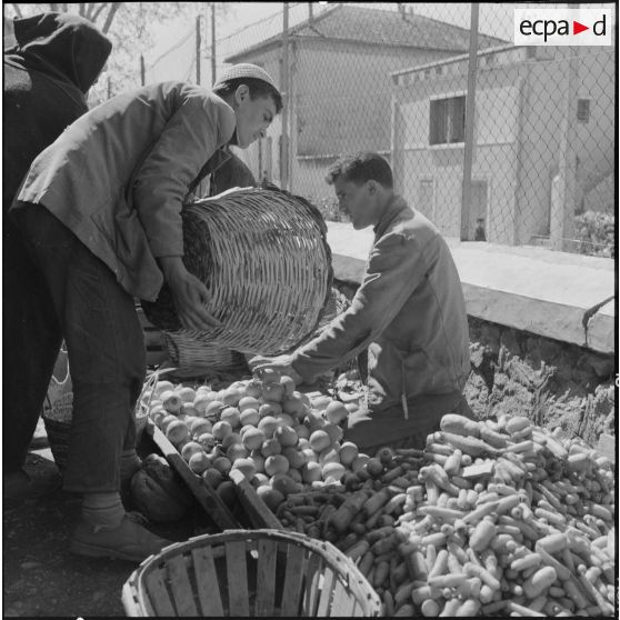 Fondouk. Marché. Marchands de fruits et légumes.