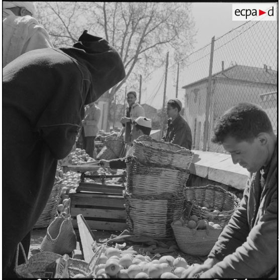 Fondouk. Marché. Marchands de fruits et légumes.