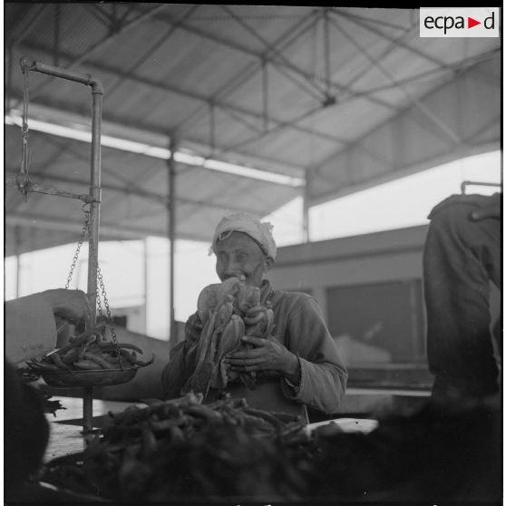 Fondouk. Marché. Portrait d'un marchand de légume.