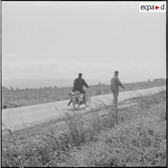Région d'Alger. La vie dans les champs. Deux ouvriers agricoles.