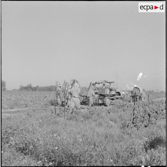Région d'Alger. La vie dans les champs. Traitement phytosanitaire des champs.