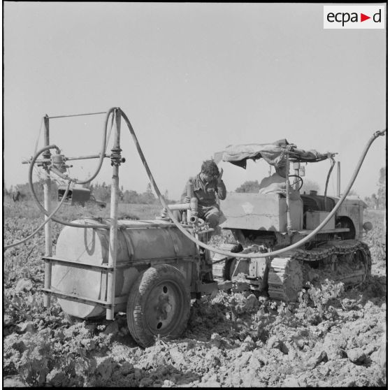 Région d'Alger. La vie dans les champs. Traitement phytosanitaire des champs.