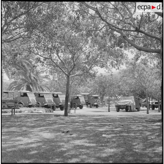 Oran. Véhicules militaires.