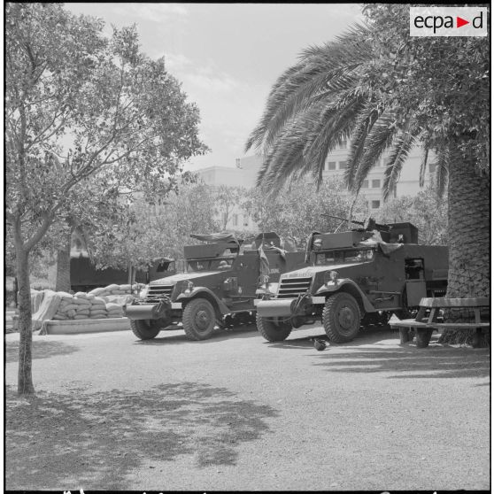Bouclage du centre d'Oran. Deux Half-track M3