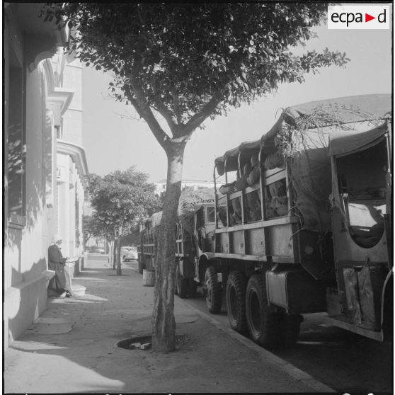 Des soldats à bord de camions dans le cadre de l'opération "Z".