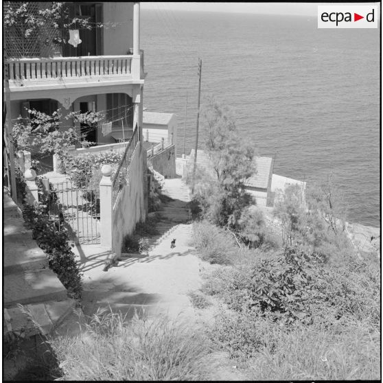 Vue de la ville depuis la côte maritime dans le cadre de l'opération "Z".