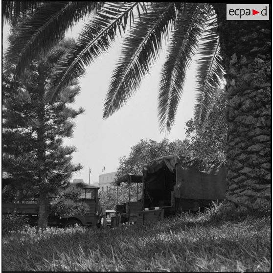 Des camions militaires dans le cadre de l'opération "Z".