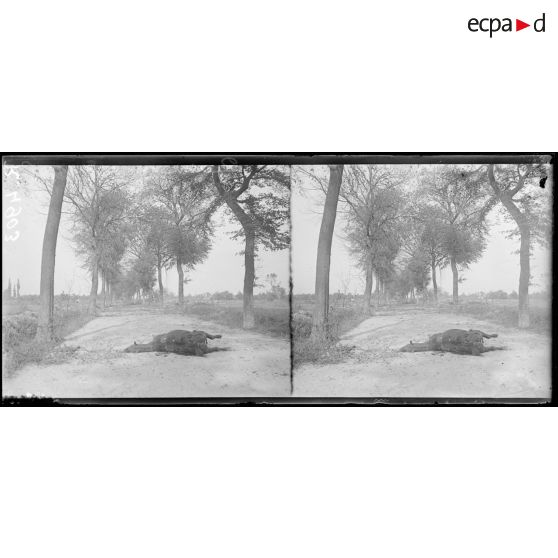 Près de Popincourt (Somme), la route de Montdidier à Roye. [légende d'origine]