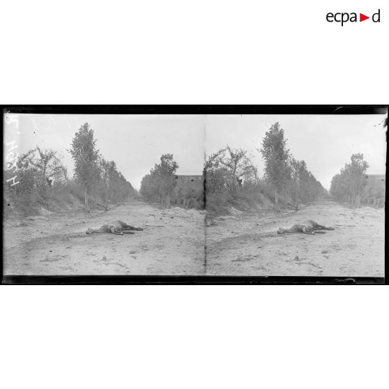 Roye. L'avenue de la gare. [légende d'origine]