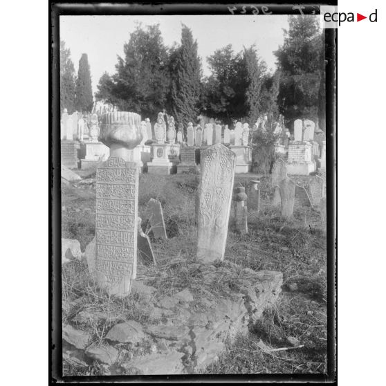 [Cimetière turc de Salonique. Stèles sculptées et gravées.]