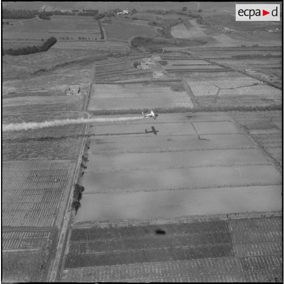 La Reghaïa. Pulvérisation de l'insecticide DDT (Dichloro-Diphenyl-Trichloroethane). Vue aérienne.