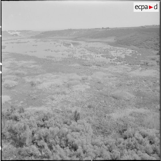 La Reghaïa. Pulvérisation de l'insecticide DDT (Dichloro-Diphenyl-Trichloroethane). Vue aérienne des marécages.