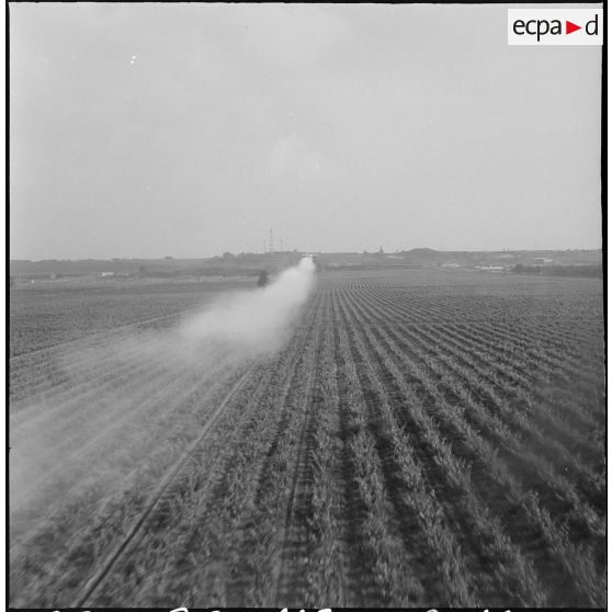 La Reghaïa. Pulvérisation de l'insecticide DDT (Dichloro-Diphenyl-Trichloroethane). Vue aérienne.