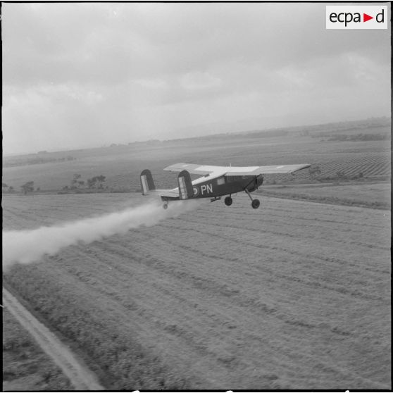 La Reghaïa. Pulvérisation de l'insecticide DDT (Dichloro-Diphenyl-Trichloroethane). Vue aérienne.