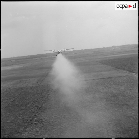 La Reghaïa. Pulvérisation de l'insecticide DDT (Dichloro-Diphenyl-Trichloroethane). Vue aérienne.