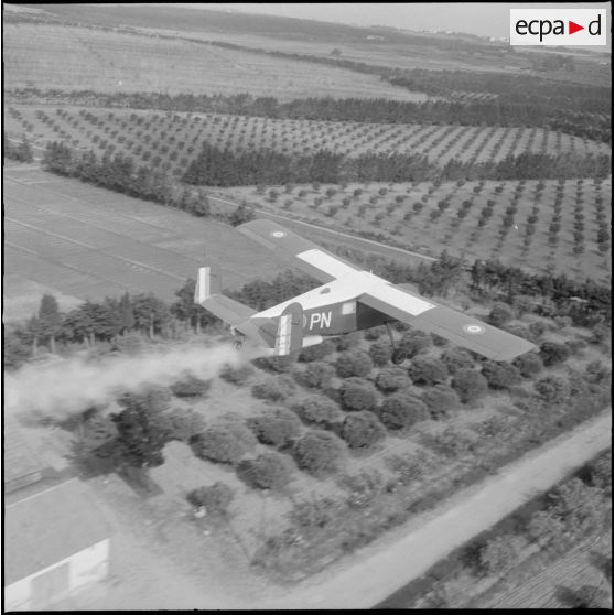 La Reghaïa. Pulvérisation de l'insecticide DDT (Dichloro-Diphenyl-Trichloroethane). Vue aérienne.