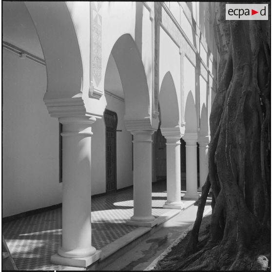 Alger. Mess [cantine] du square Bresson. Des arbres dans la cour intérieure.