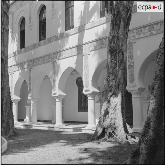 Alger. Mess [cantine] du square Bresson. Des arbres dans la cour intérieure.
