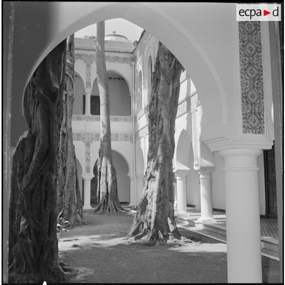Alger. Mess [cantine] du square Bresson. Des arbres dans la cour intérieure.