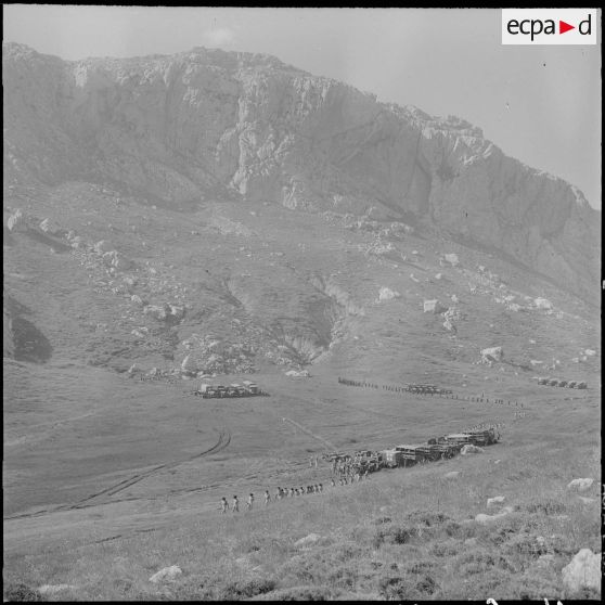 Boussouail (Kabylie). Réunion des commandants de différentes unités alpines. Cérémonie militaire.