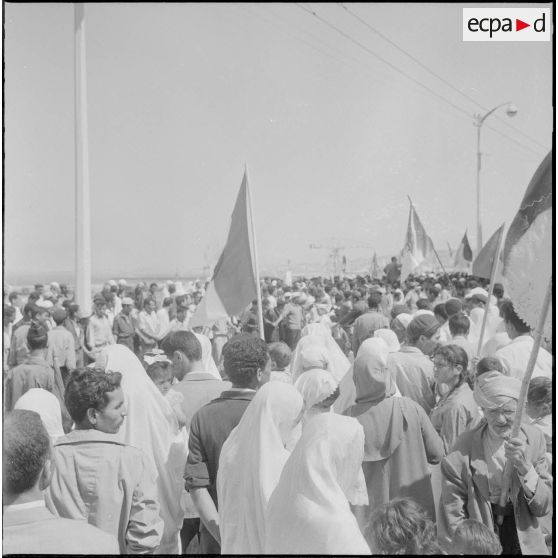 Les algérois fêtent l'indépendance de l'Algérie dans les rues d'Alger.