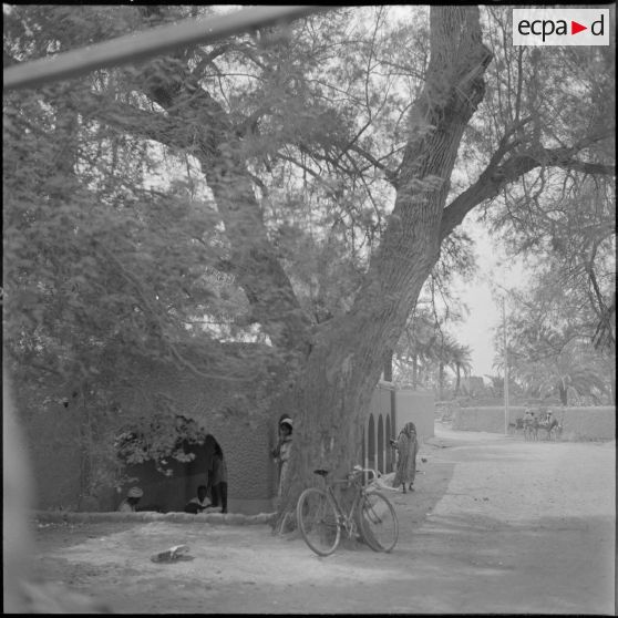 Une rue à Adrar ou à Colomb-Béchar.