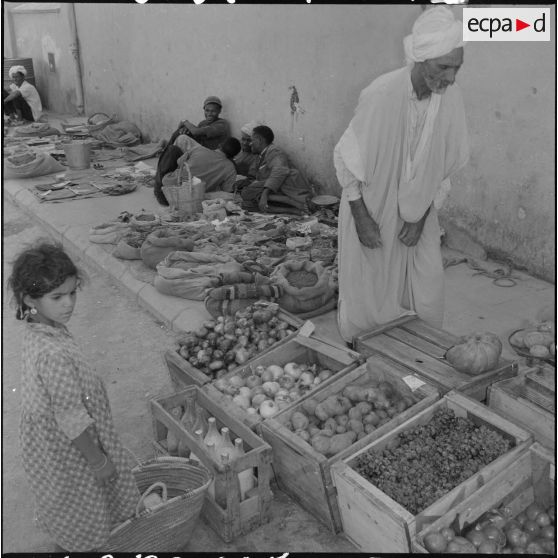 Un marché à Adrar ou à Colomb-Béchar.