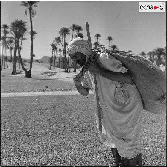 Portrait d'un homme dans une palmeraie à Adrar ou à Colomb-Béchar.