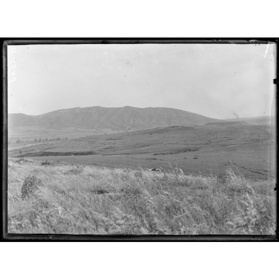 Crêtes rocheuses, secteur Narèch. Vue vers la table de Narès. [légende d'origine]