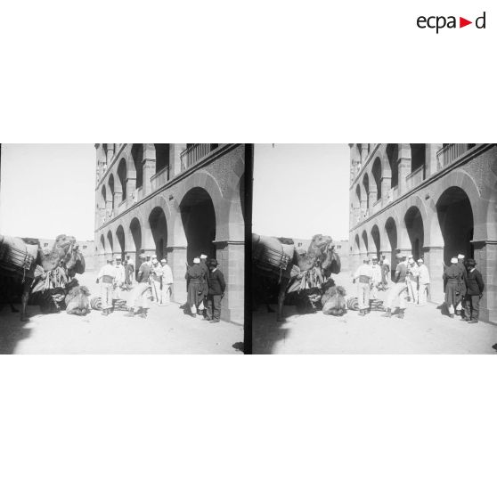 681. Retour des chameaux qui ont suivi la reconnaissance. [légende d'origine]