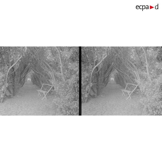 688. Allée des soupirs dans la pépinière. [légende d'origine]