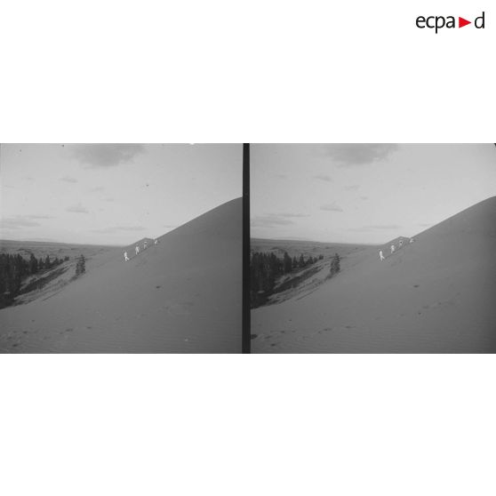 689. Les dunes de sable. [légende d'origine]