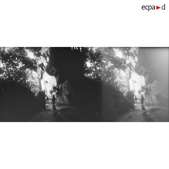 731. Un sentier conduisant aux cascades. [légende d'origine]