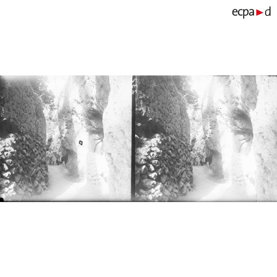 732. Un sentier conduisant aux cascades. Avant d'arriver le sentier est étroit. [légende d'origine]