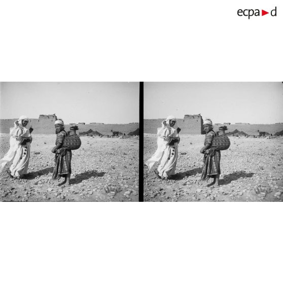 736. Petite marocaine porteuse d'eau. [légende d'origine]