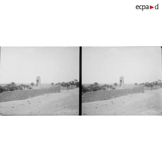 739. Un boy dans un jardin. [légende d'origine]