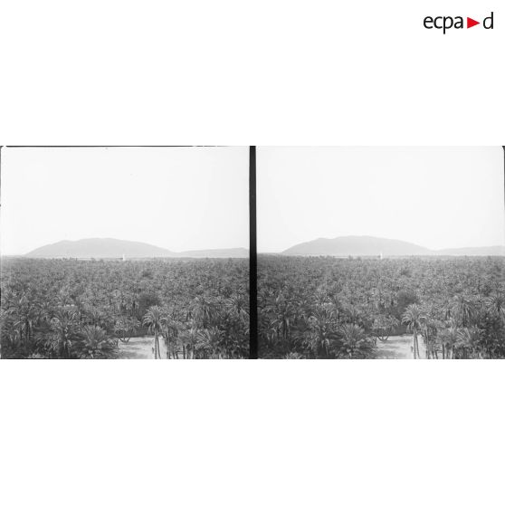 746. Vue du ksar (prise de Djorf). [légende d'origine]