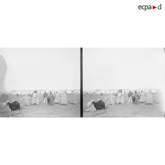 35. Place du marché. Manier et Monnereau. [légende d'origine]