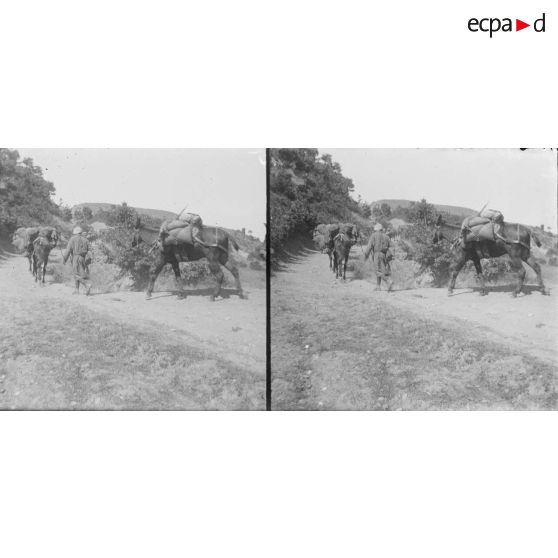 45. Une pente raide à monter. [légende d'origine]