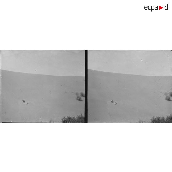 292. Un bain de sable dans les dunes. [légende d'origine]