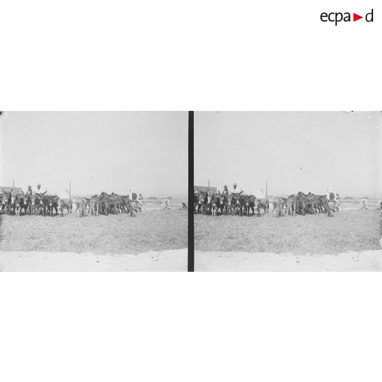 295. Récolte du blé. [légende d'origine]