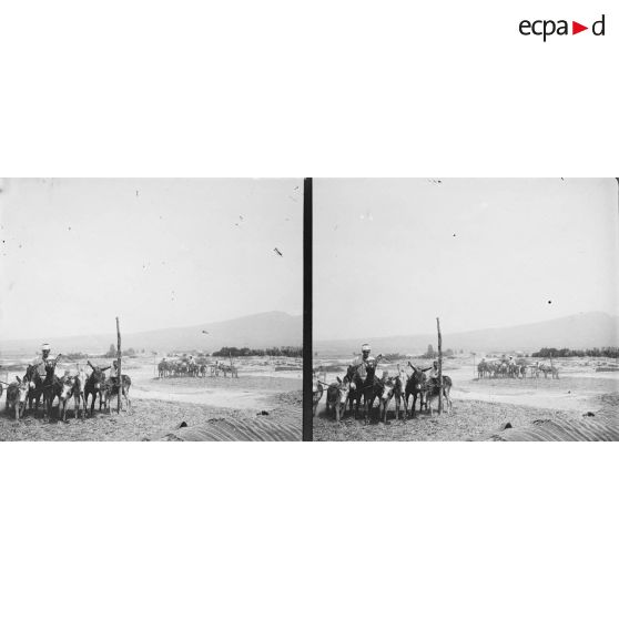 298. Récolte du blé. [légende d'origine]