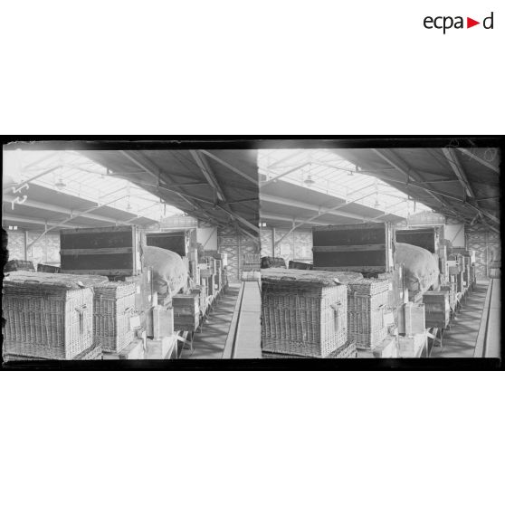 Bordeaux. Les bagages pour le transatlantique. [légende d'origine]