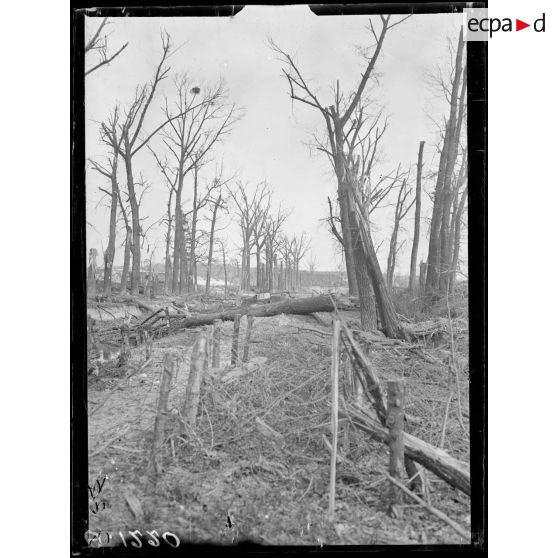 Loivre. Marne. Défenses ennemies détruites par notre artillerie. [légende d'origine]