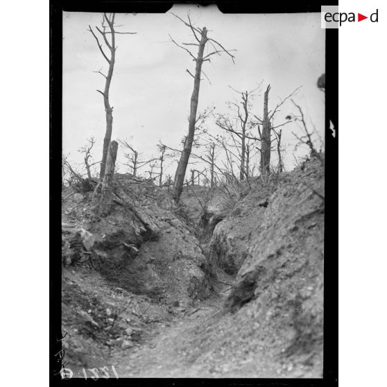 Loivre. Marne. Lignes ennemies détruites par notre artillerie. [légende d'origine]